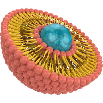 10% AHK-CU LIPOSOME COPPER TRI-PEPTIDE-3 LIQUID • ENHANCED ABSORPTION • HAIR GROWTH • ANTI-AGING • HEALING